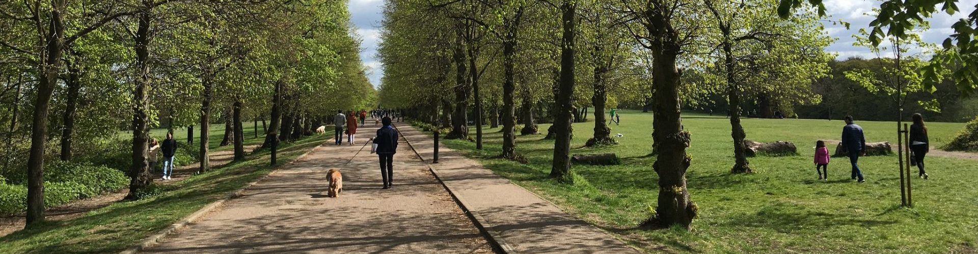 My 5,000,000 Step Challenge